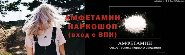 молекула духа Алексин