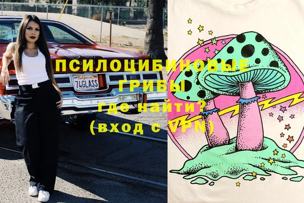 молекула духа Алексин