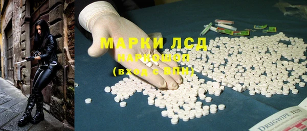 стафф Алзамай