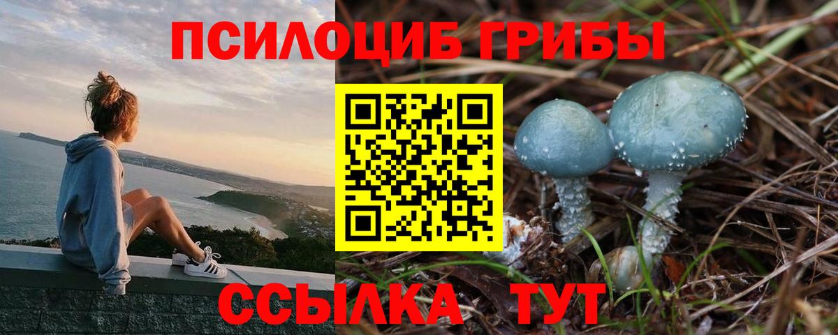 Псилоцибиновые грибы MAGIC MUSHROOMS Джанкой