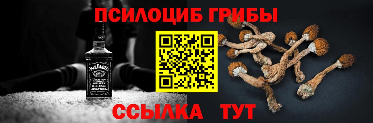 Псилоцибиновые грибы Psilocybe  сколько стоит  Джанкой  Вход с VPN 